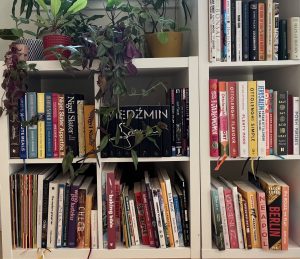 5 Example Pitches for the Book Chapter